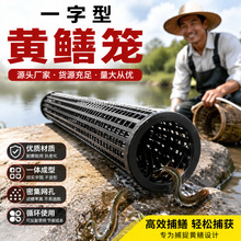 黄鳝笼鳝鱼笼捕鳝神器塑料倒须设计只进不出一字笼泥鳅笼鱼虾笼捕