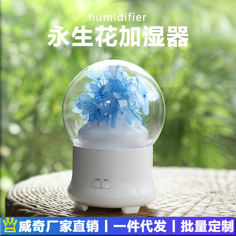 국경을 넘는 영구꽃 가습기, 침실용 소형 분위기 조명, 선물용 고급스러운 에센셜 오일 아로마 디퓨저, 플러그인형