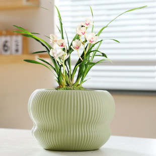 ���l�羳���Nһ�����l�����մɎ��бP���s�҃��ش�̖���ö��⻨��