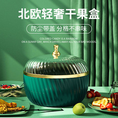 ZT1066 Nordic Light Luxury Dry Fruit Storage Box, Fruit Plate, Wholesale Living Room Nut and Seed Plate, Candy Box