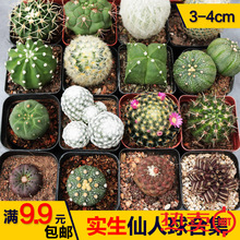 ���������������ƺϼ� ��������ϵ�� ���B�����ֽM�϶�ë�� �ճ�