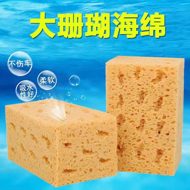 Губка для мойки автомобилей Большой абсорбент для обеззараживания Хлопок высокой плотности Очень большие специальные чистящие средства для автомобилей Коралловая губка