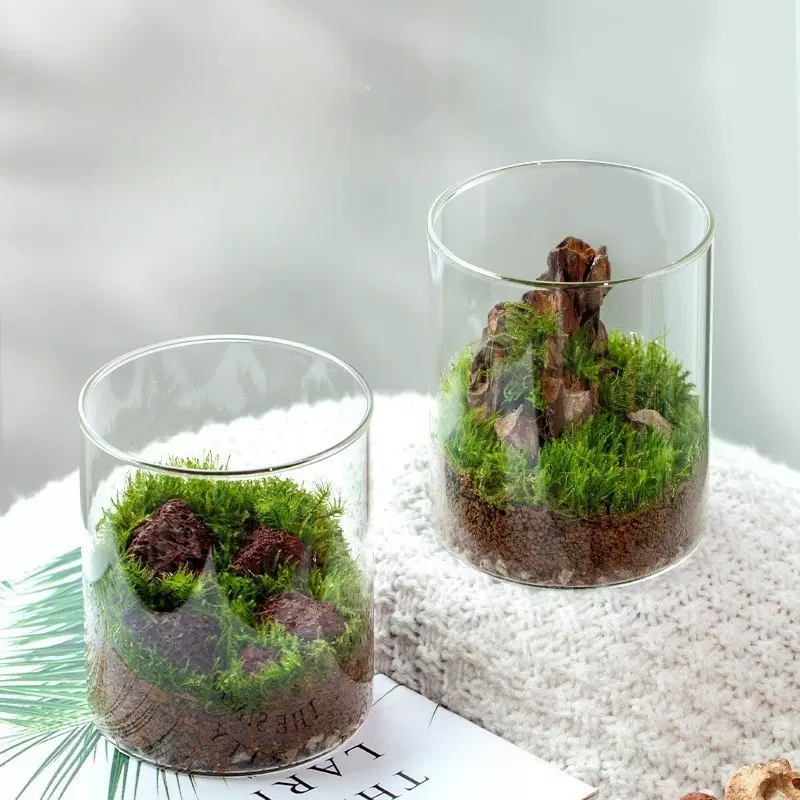 高硼硅玻璃桌面微景观瓶 室内苔藓迷你植物盆栽瓶 多肉生态瓶摆件
