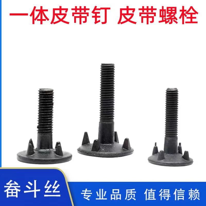 源头厂家 大头皮带钉螺丝 彩锌输送带螺丝 大畚头一体钉 畚斗螺栓