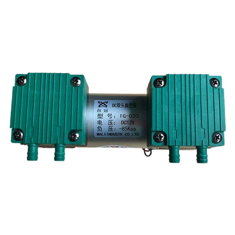 Вакуумный насос Taiguan DC, двухголовочный щеточный, малогабаритный, для отрицательного давления, 12В/24В/220В, безмасляный микронасос для откачки