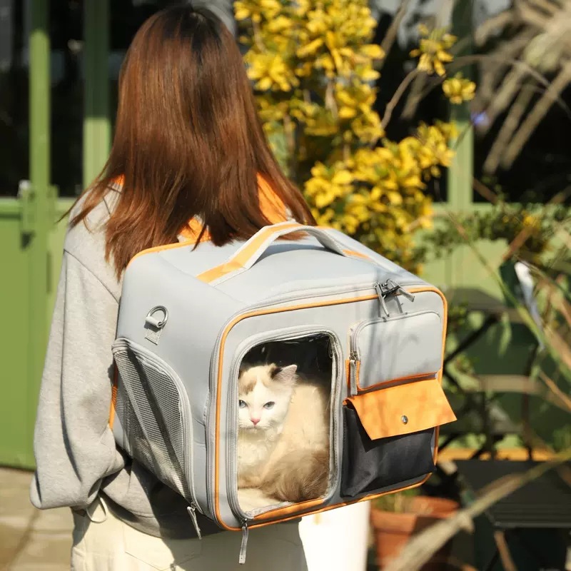 New Large Capacity Dog and Cat Backpack Outdoor French Bulldog Light-Proof Double Layer Crossbody Canvas Cat Bag Pet Bag