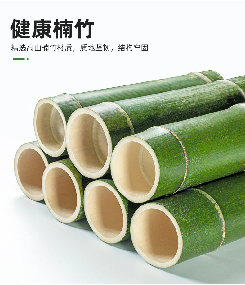 11a77954-a78c-4692-be27-ab190e265240.jpe