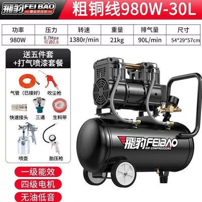 Hava kompressorları: Air pump, air compressor - yingxiao-all-copper-980w-30l-air-powered-paint-sprayer