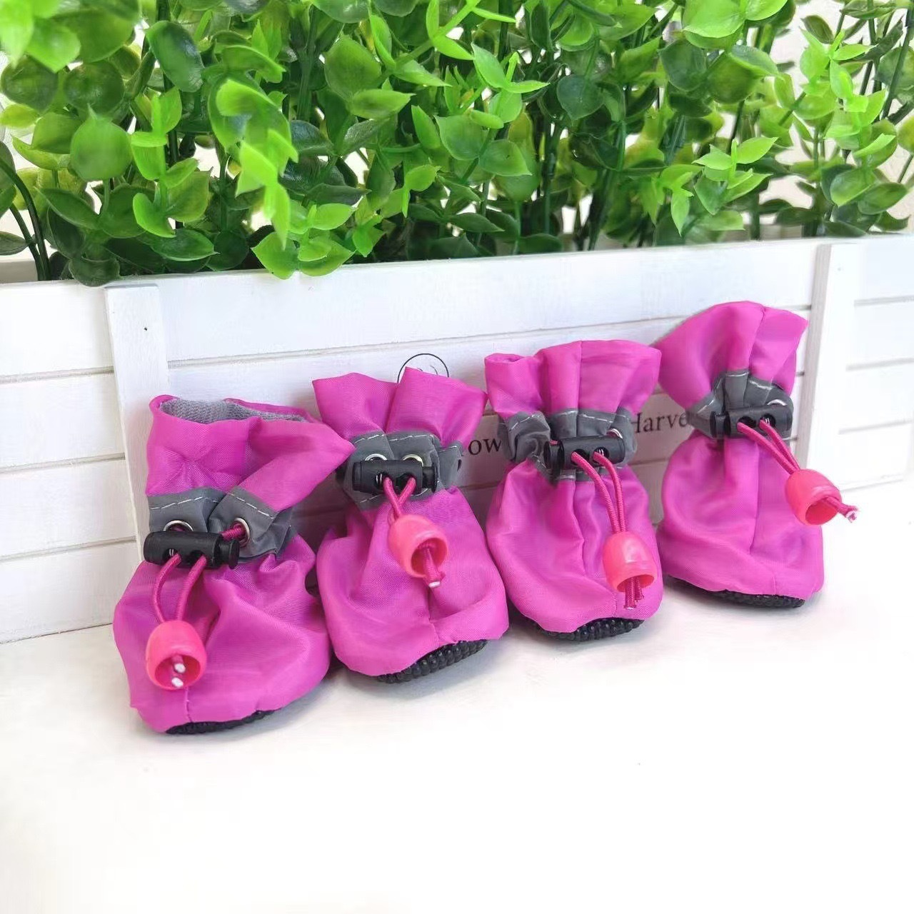 로즈 레드 신발