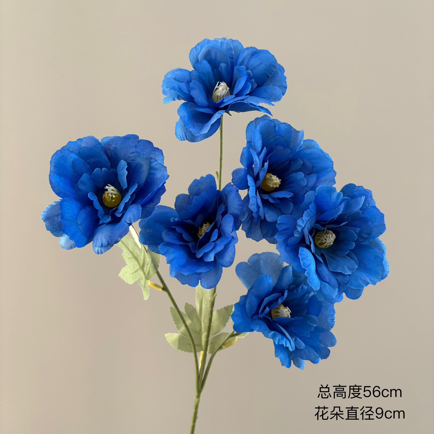 로얄 블루