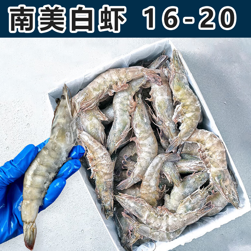 特大厄瓜多尔白虾16-20只/斤盐冻海虾南美白虾商用批发代发分销