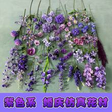 ɫϵ滨cûcٻŻYŻĲ廨