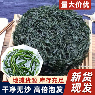 �����z���l��؛��؛�[���F؛���ßoɳ���ݰl�������s���ܽ�������