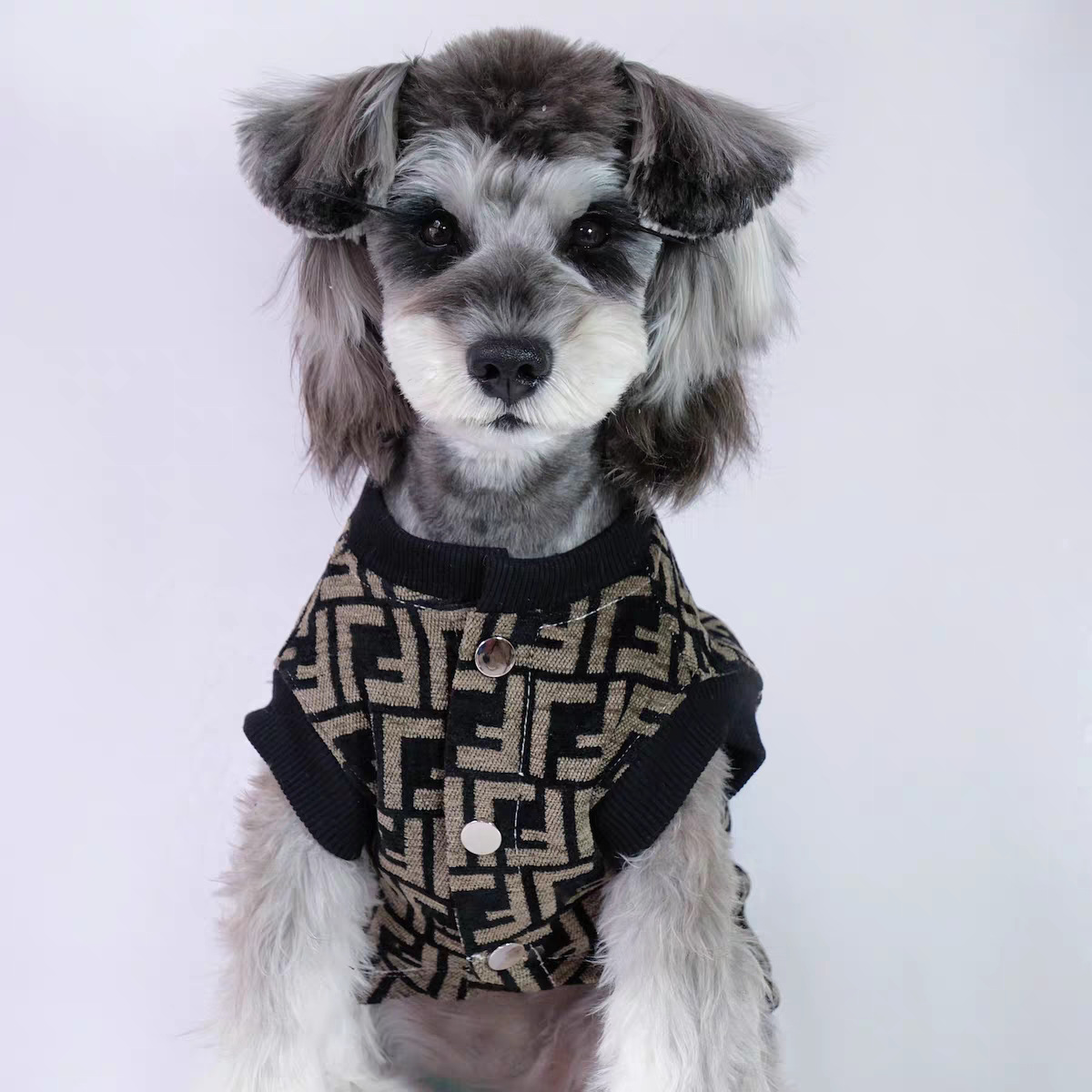 Ropa de mascotas chaleco de perro caliente moda nuevos productos deportivos ocio versátil tendencia Teddy Bear Malzies