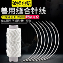 动物兽用缝合针缝合线 角针 圆针外科手术针10支兽用手术缝线