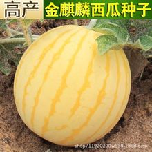 ���������ϷN�ӶYƷ�S�����ϷN�����ڷN�Ӵ�ȫ�����̨������