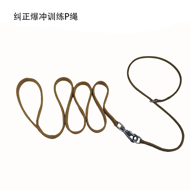 前段+后端（一套） / 前端+后端（一套）