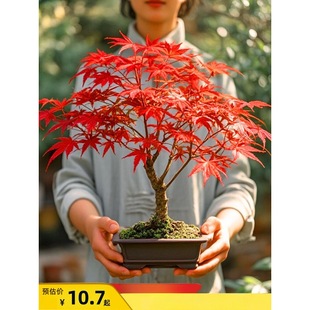 �t���������ձ��t�輧�Ϙ��҃ȿ͏dͥԺ�Ї��t���ļ������辰�ͺ�