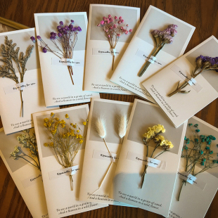 ��ˇС������ɻ��R�����տ�Ƭ�̎������﹝�նY�����˹�ף����