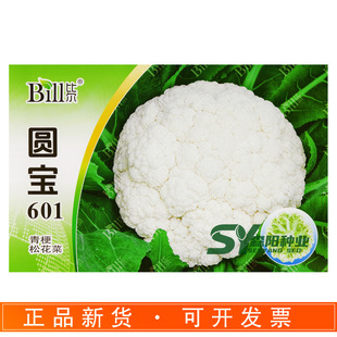 �Ƞ��A��601�๣�ɻ��˷N��70��������׻��˰�����С����ɢ����