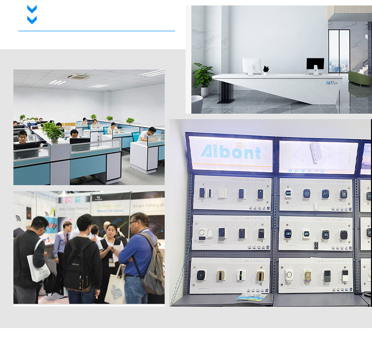 2--T295-BG---中文_21