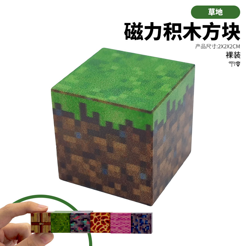 MC My World Magnetic Blocks Puzzle