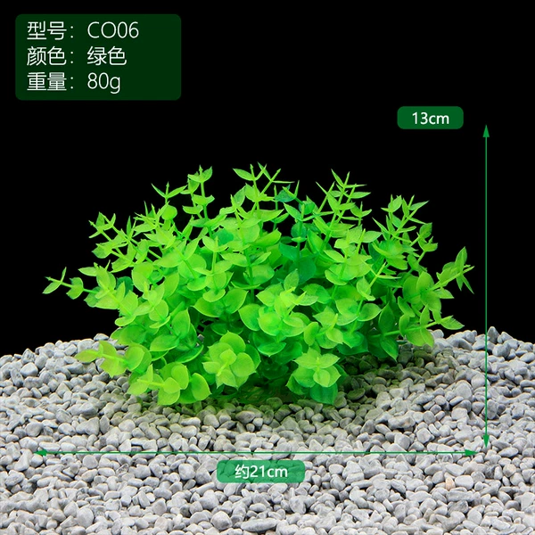 CO06【Green】