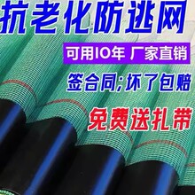 С���r���ӾW���Wţ�������з���~�r��С���r�Bֳ���ӾW����Ĥ