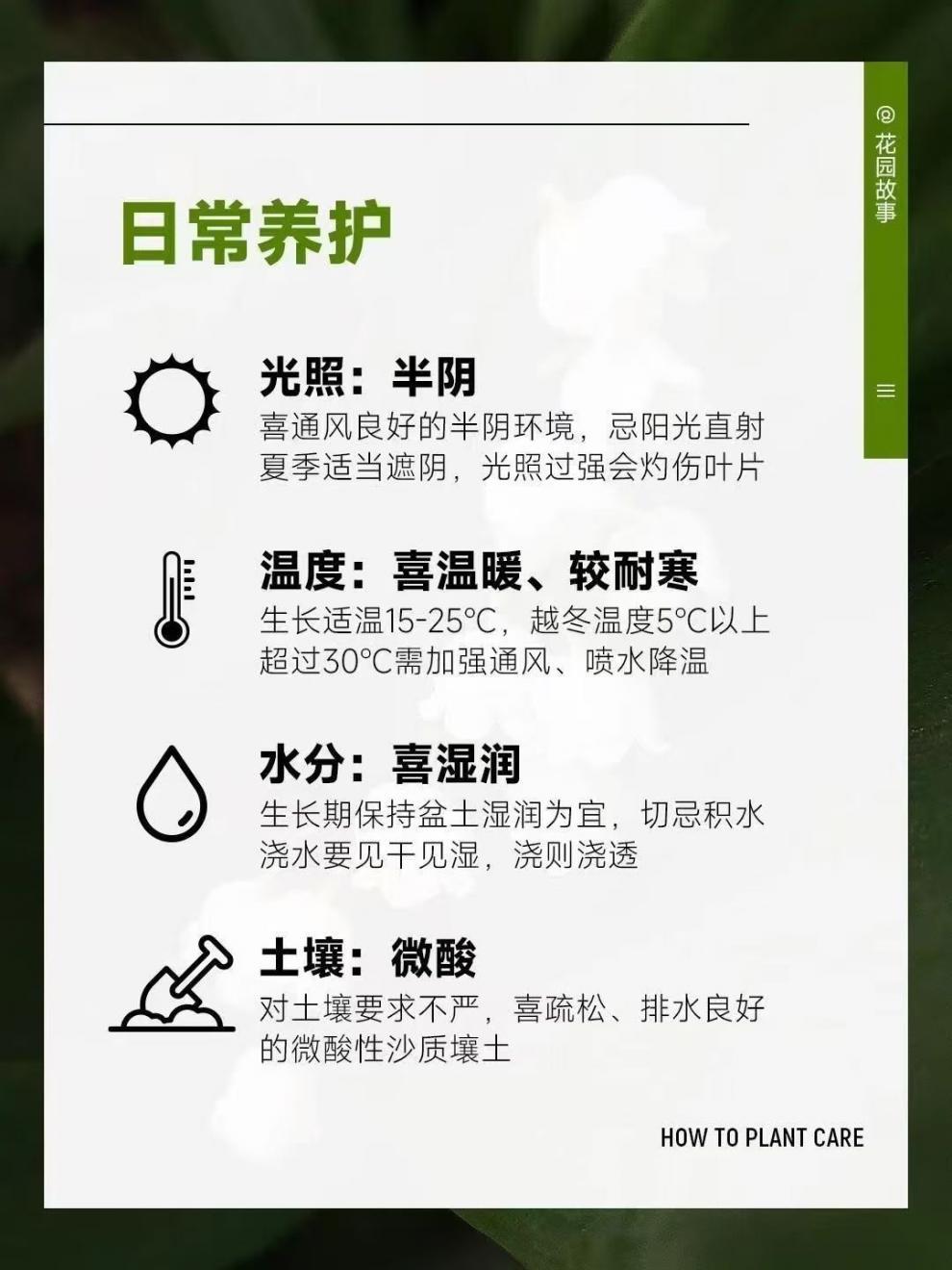 d43d8b96-3c74-4e6f-bc6e-6f510699acec.jpe