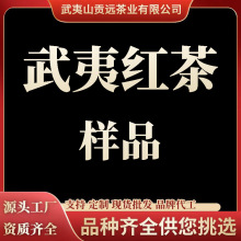 武夷红茶 茶叶样品 武夷山金骏眉 红茶 泡袋茶 正山小种试喝装