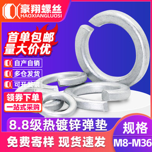 8.8������\���|�_�ڈA�Ώ��ɉ|Ȧ����\���ԉ|ȦM10M12M14M16M18