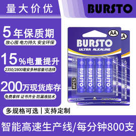 布斯拓五号高容量碱性电池打猎相机智能门锁2900MAH 5号碱性电池