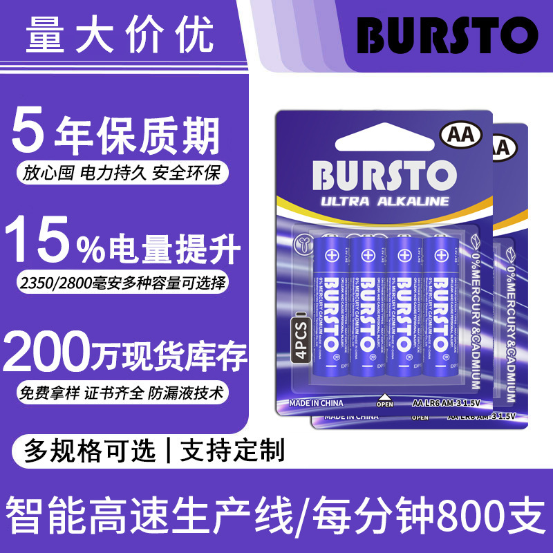 No. 5 Alkaline Battery Lr6Aa 3000Mah Large Capacity Aa Battery for Hunting Cameras and Gas Meters