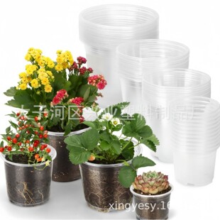 ���ƿ羳͸���m���� ���籭���l ͸��Nֲ�� �����m���� ͸������