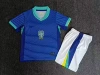 24-25 Brazil away