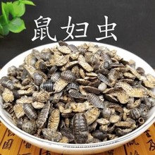 ��ș����D�x1���� ���x ���x�� ��ʭ���l