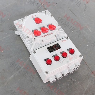 Hualong Electric Professional Non-Standard Customized Anti-Corrosion and Explosion-Proof Power Distribution Box Manufacturer 3C Certification Explosion-Proof Certificate