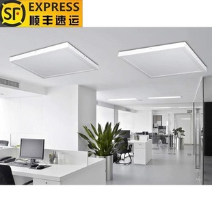 Lei Shiji Surface-Mounted 300X1200 Led Panel Light 600X600 Gypsum Ceiling Cement Ceiling Panel 30*120 Hanging