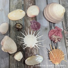 ��ؐ �p��ؐ��Ȼ����ؐ�� ����ؐ�ͮ���ؐؐ����ˇƷ���l�S��ֱ�N