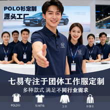 �ļ�polo�����Ƹ߶˱�˿������t��ӡlogo��ҵ�������۶��乤װ