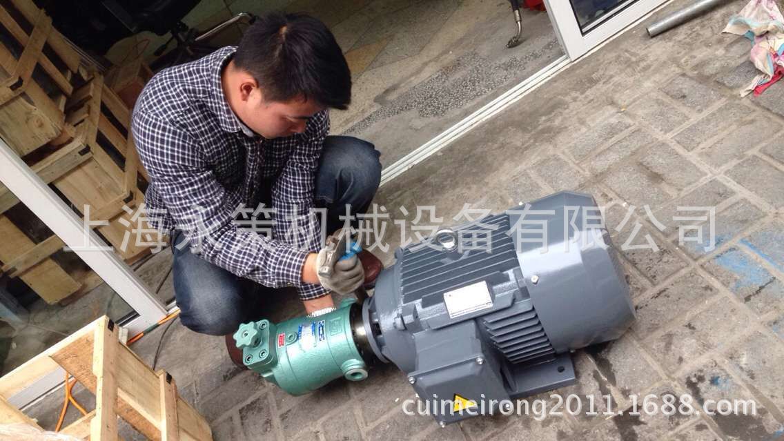 Насос плунжерный Shanghai High Pressure 25SCY