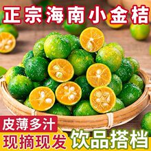 海南小金桔青柠海南青金桔新鲜果子小柠檬桔子大中小5斤饮品奶茶