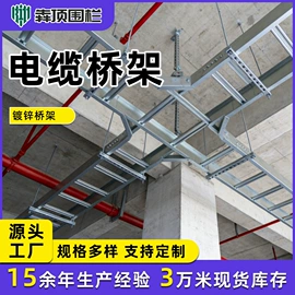 护栏网;桥架;防护栏