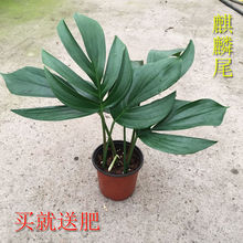 �^�~ֲ�� ����β �����~�҃��������Գ��G���ܾGֲ ��