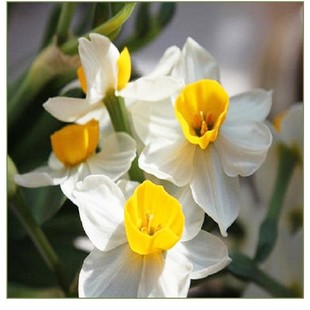 ����ˮ�ɻ��N�����Ԇΰ��ذ�Gֲ��ˮ�ɷN������ˮ�ஔ���_��