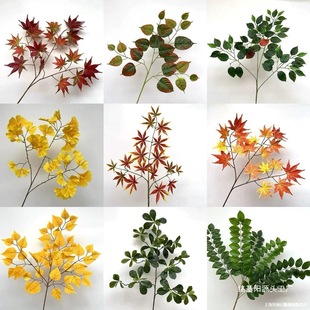 ���~�t���~�uצ���y���~��ͩ��ͩ���~��Ǘ��~�Ә�֦�������~