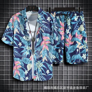 [Small Wholesale] Summer Boys Beach Shirt Set Loose Casual Printed Beach Pants Hawaiian Shorts