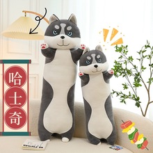 �羳��ʿ���L�l����ë�q��߶�����ż�������޹���Ů���նY�����l