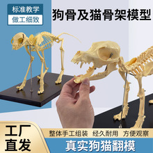 ����ǿ���е ���湷�����˱�ģ�̈́��ﹷ؈Ȯ�Ǽܹ��^�����̌W