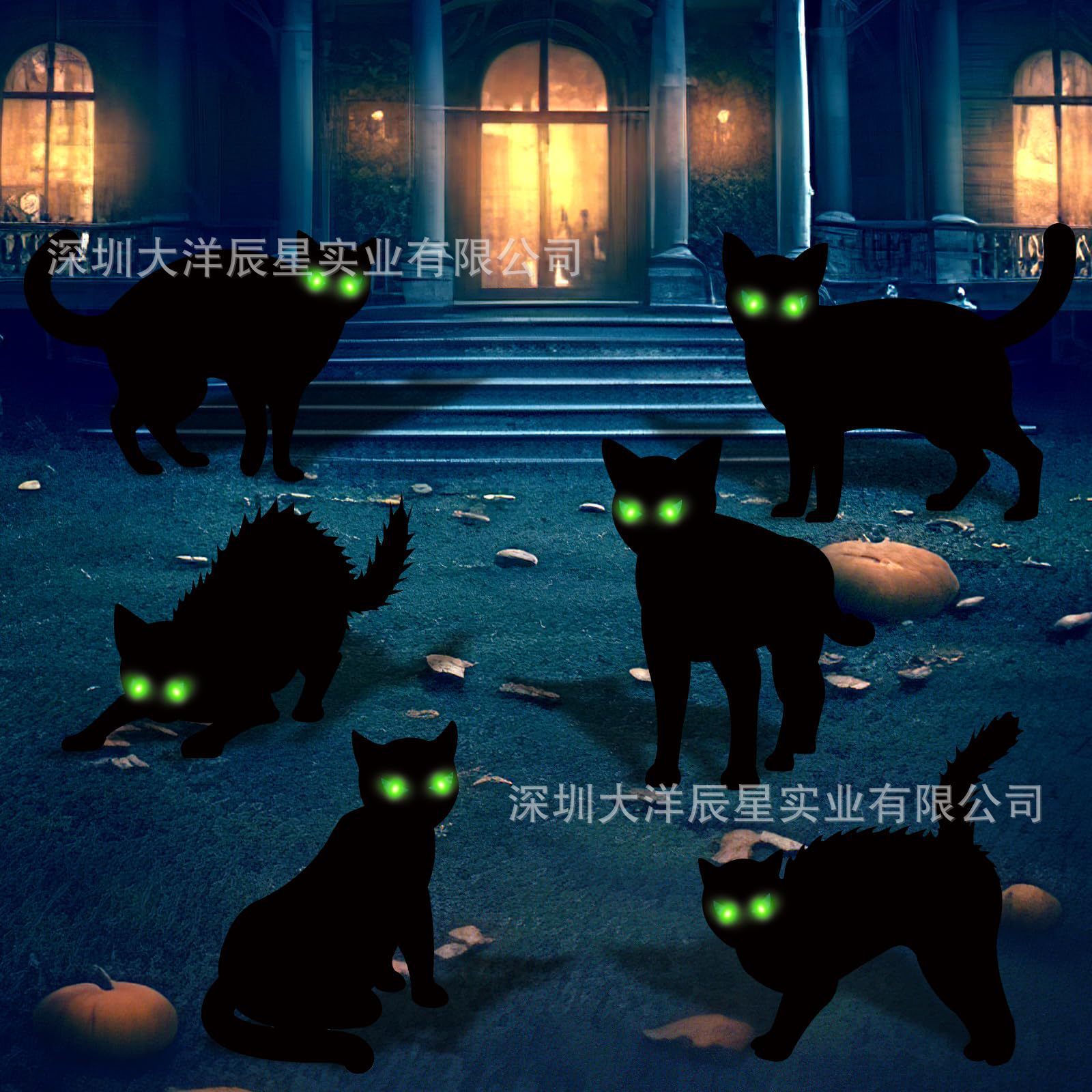 할로윈 검은 고양이 12